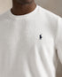 POLO RALPH LAUREN WOOL-CASHMERE CREW NECK JUMPER