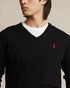 POLO RALPH LAUREN CUSTOM FIT COTTON V-NECK SWEATER