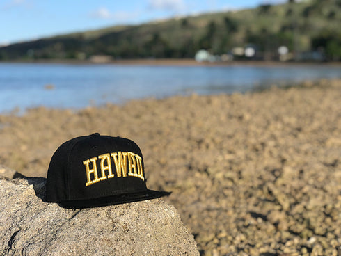 NEW ERA 950 HAWAII GOLDEN FLAG